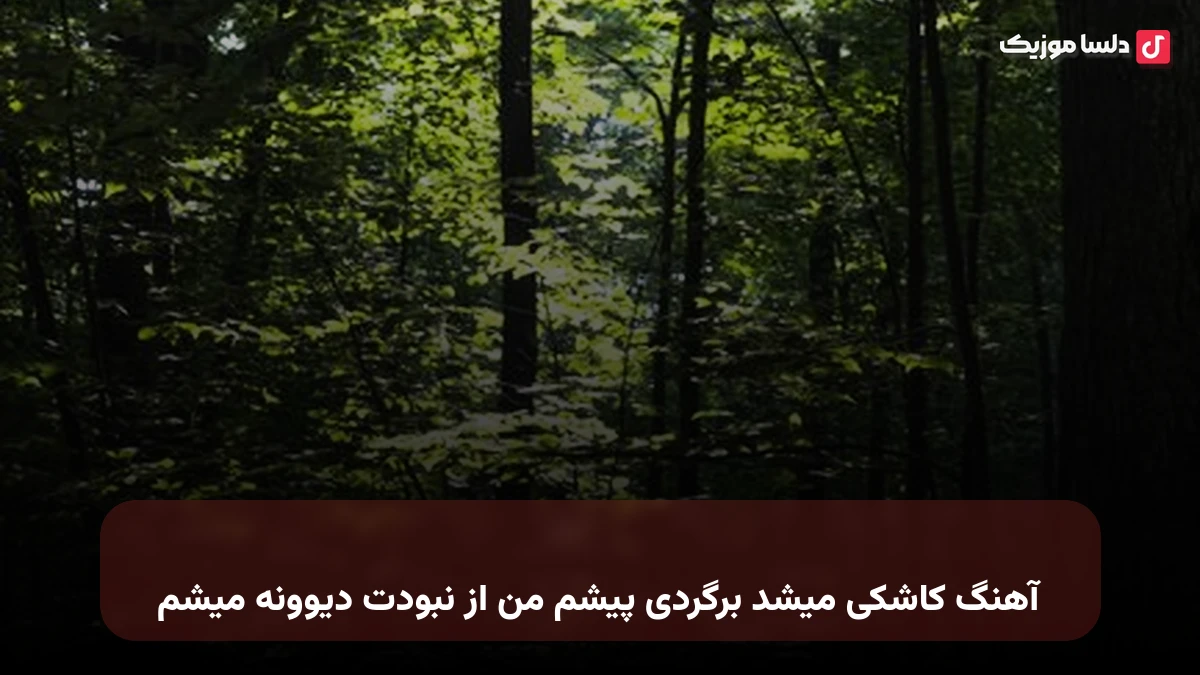 کاشکی میشد برگردی پیشم من از نبودت دیوونه میشم